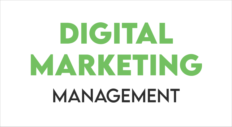 I will manage your digital marketing and create social media posts ( Monthly )