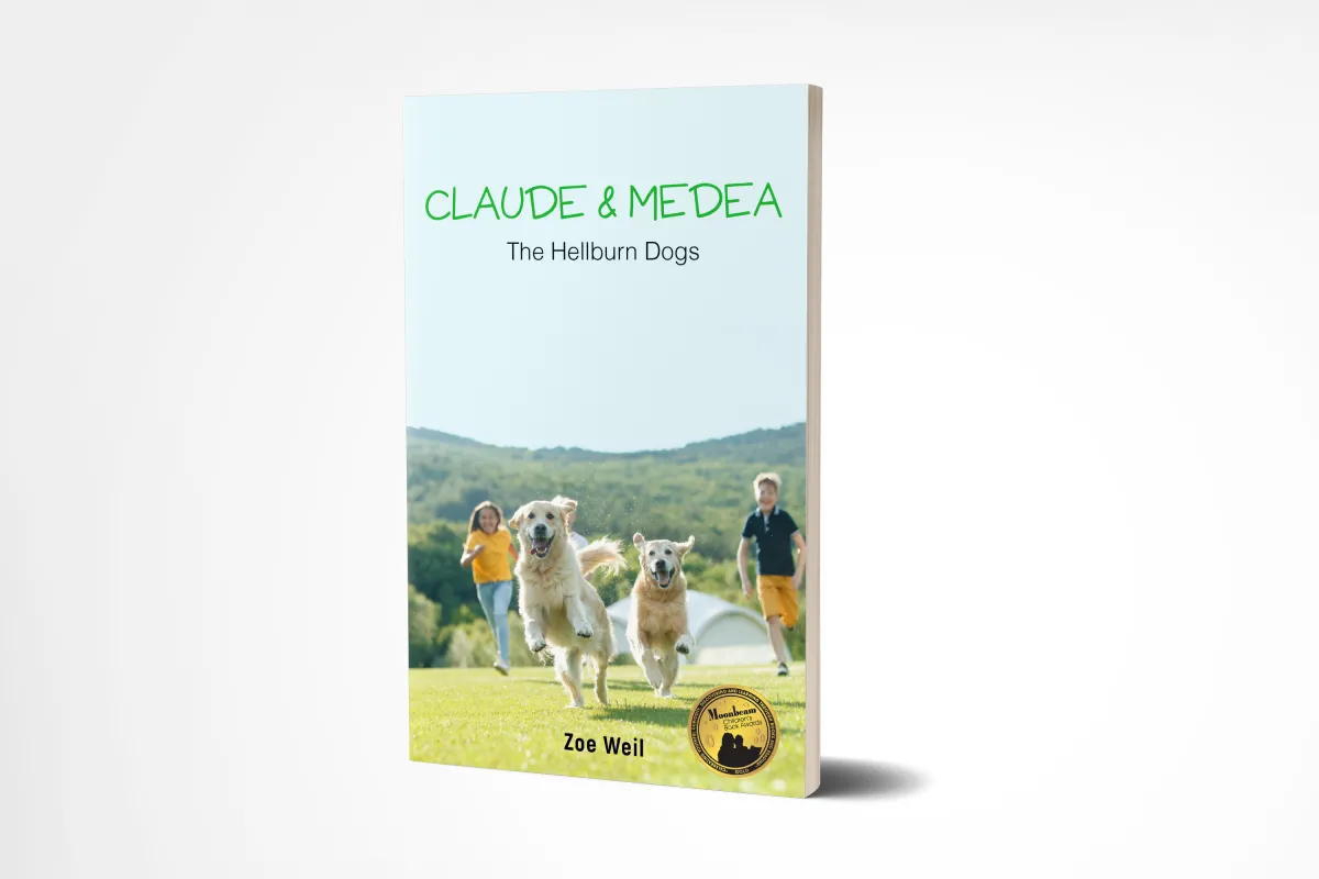 I will print design you a book cover or e-book design for your book.