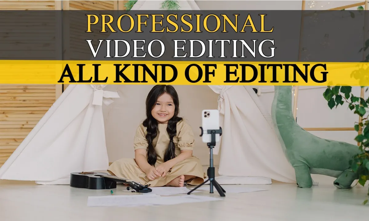 do professional video editor with vfx effects