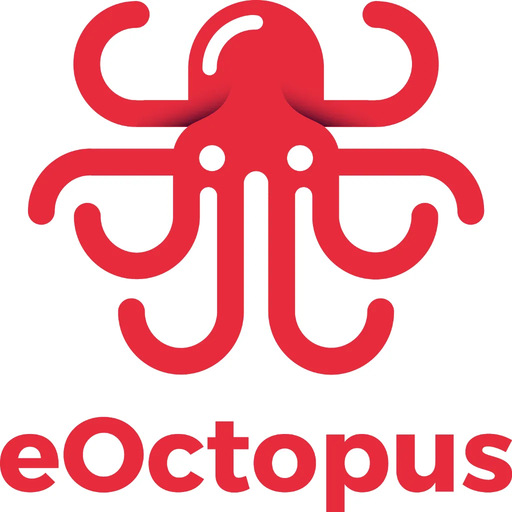 develop and consult you with anything on eOctopus ERP 
