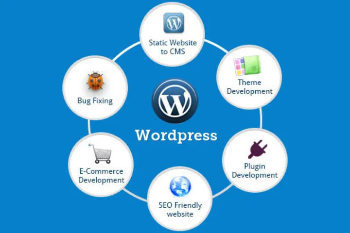 build and design a professional website using WordPress