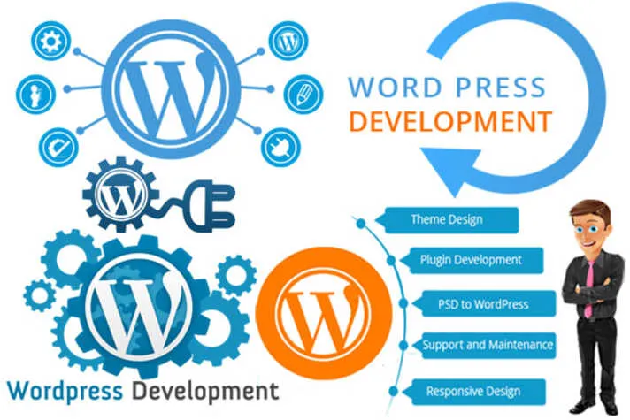 build and design a professional website using WordPress