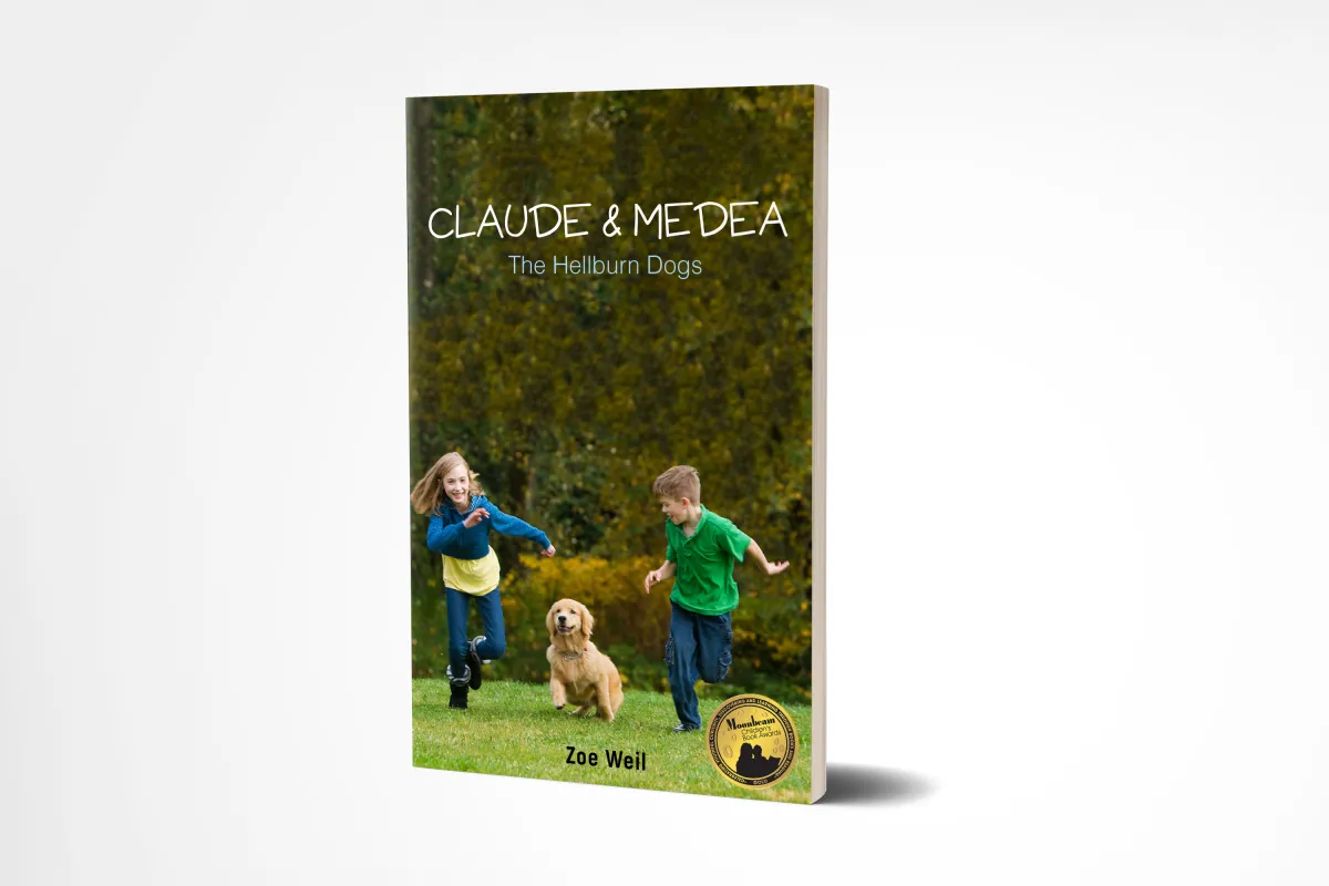 I will print design you a book cover or e-book design for your book.