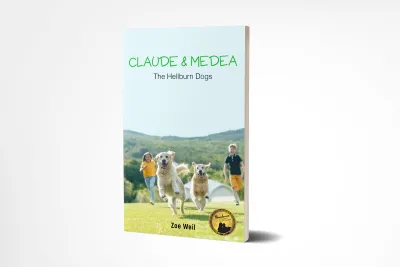 I will print design you a book cover or e-book design for your book.