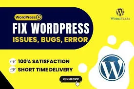 expert wordpress developer and quality custom solutions