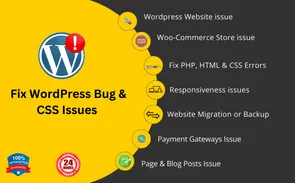 expert wordpress developer and quality custom solutions