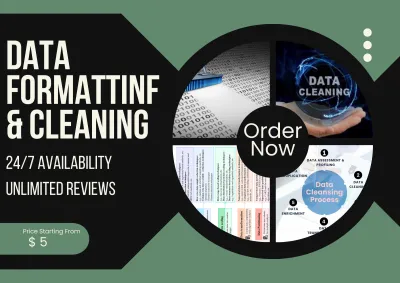 I will do data cleaning and formatting on excel, ms word