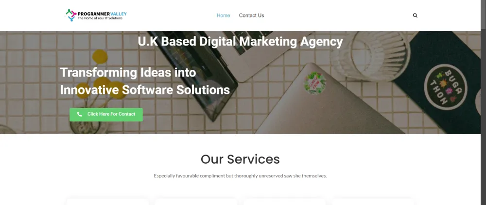 Agency Website